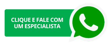 whatsapp fale com o time comercial